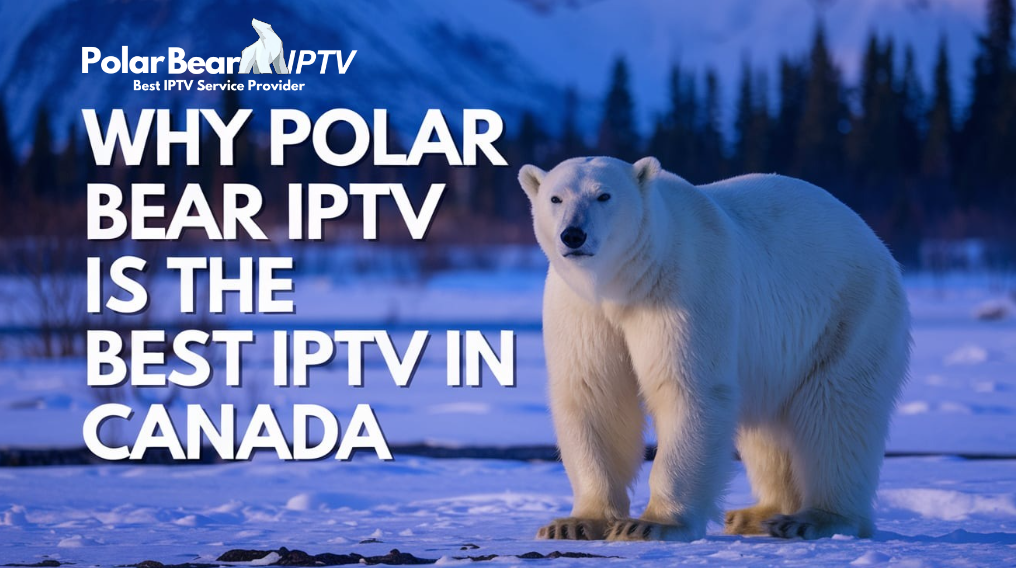 polar bear iptv